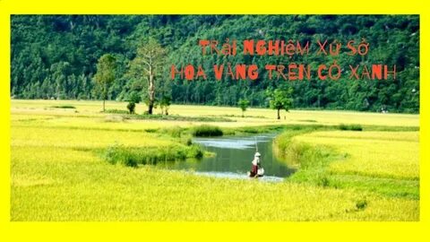 Hotspot Matrix và Tịch thu gần 4 tỷ đồng nhét trong máy giặt của một công ty điện máy_Video công ty gia công